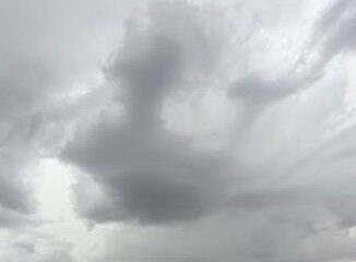 Conversaciones con Bingo Tormenta de San Juan