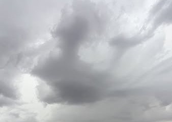 Conversaciones con Bingo Tormenta de San Juan