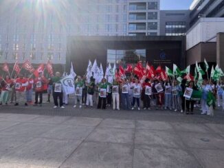 Trabajadores del SNS reclaman un “Estatuto Marco para avanzar”