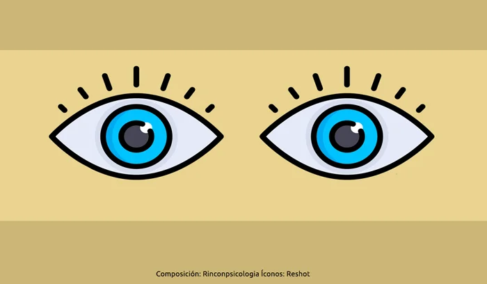 Un ensayo evaluará la eficacia y seguridad de un fármaco para la enfermedad ocular tiroidea Un ensayo evaluará la eficacia y seguridad de un fármaco para la enfermedad ocular tiroidea